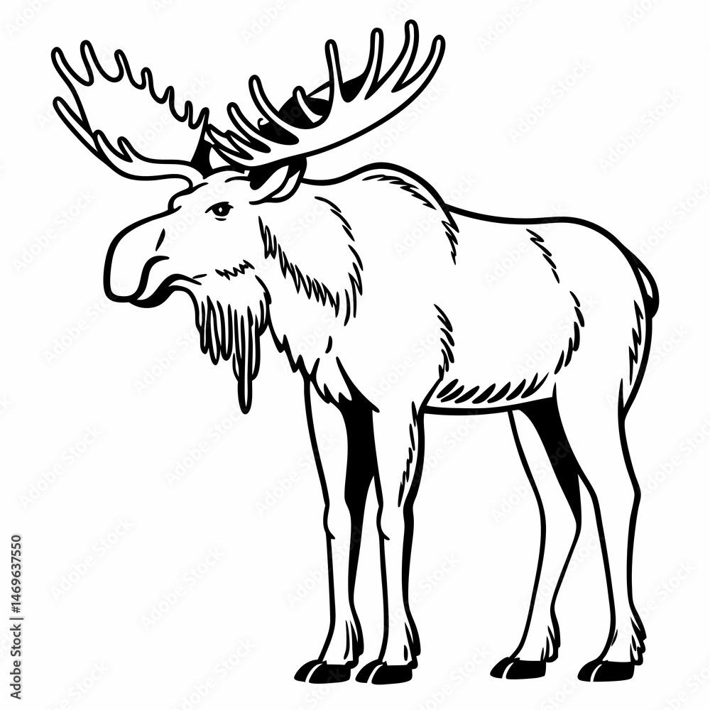 Fototapeta premium Moose Outline Wildlife Animal Forest Horned Mammal Drawing