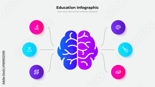 Two hemispheres of the brain that are responsible for science and creativity. Education infographic with 6 steps