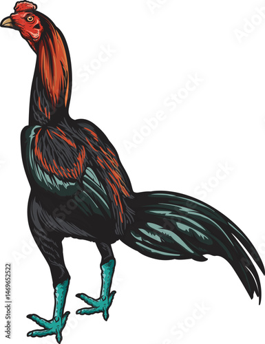 Rooster mascot logo vector illustration. Emblem, Icon, Badge. chicken rooster premium logo. chicken farm 