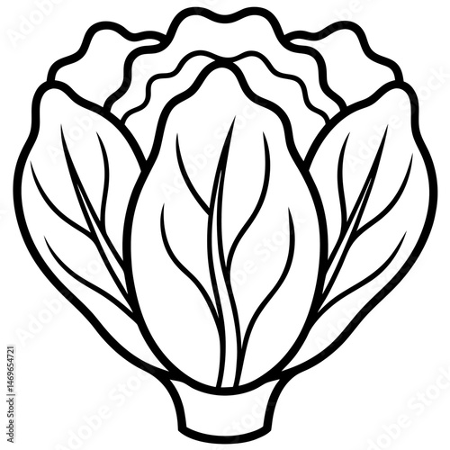 Bok Choy icon vector