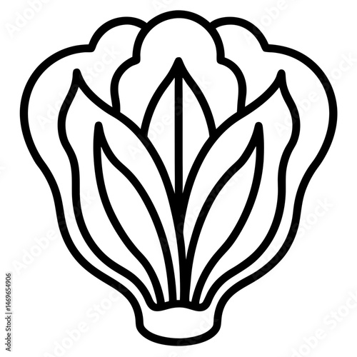 Bok Choy icon vector