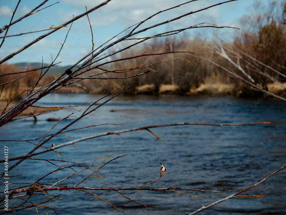 Fototapeta premium Fast flowing river in spring. Siberia