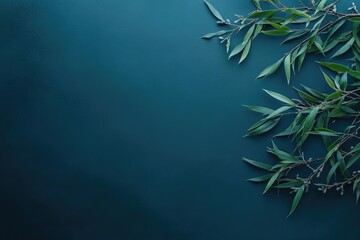 Teal backdrop with eucalyptus sprigs