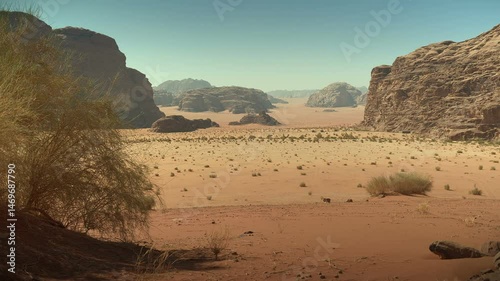 Jordan, Wadi Rum. Nature background of sandy and rocky desert with plants and bushes growing arid desertic area.