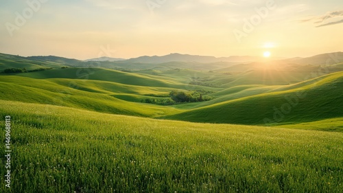 Rolling Hills at Sunrise