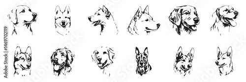 Dog Breed Silhouettes Set. Various Dog Breeds In Artistic Black And White Illustrations Isolated Vector Collection