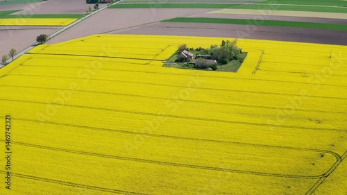 Aerial View of Farmhouse in Yellow Canola Field