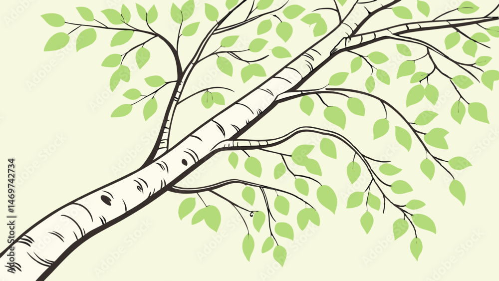Fototapeta premium vector illustration of birch tree with leaves on white background. nature and ecology concept