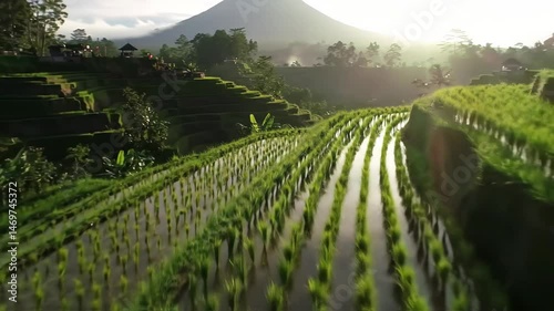 Golden Hour Flight Over Lush Green Terraced Hills