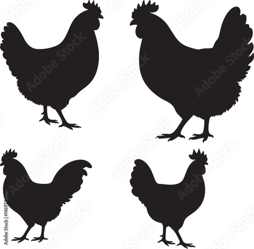 Colorful Hen Illustration Farm Animal Vector Graphic Design