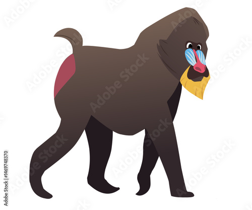 The wild expression of the mandril in stunning vector form. Add a touch of Africa to your projects with this mandril vector.