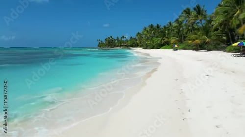 Relaxing on Tropical Beach with Palm Trees and Turquoise Water photo
