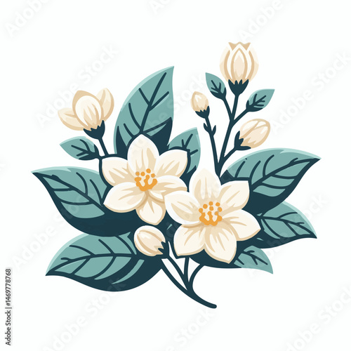 jasmine, floral, blossom, spring, plant, flower, bloom, nature, fresh, white, beautiful, beauty, natural, flora, garden, petal, blooming, isolated, background, summer, aroma, object, bud, decorative, 