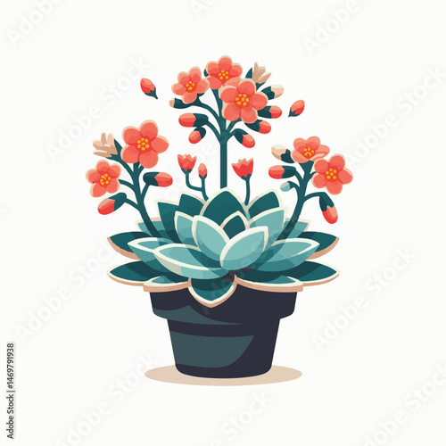 kalanchoe, plant, flower, nature, leaf, blossom, background, green, color, floral, bloom, flora, closeup, beautiful, succulent, blooming, houseplant, gardening, spring, botany, beauty, decorative, gar
