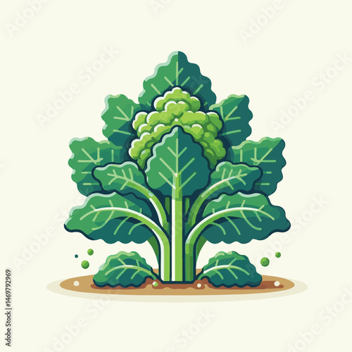 kale, healthy, food, green, vegetable, organic, fresh, leaf, vegan, agriculture, plant, background, vegetarian, diet, natural, nutrition, raw, vitamin, isolated, garden, ingredient, salad, cabbage, he