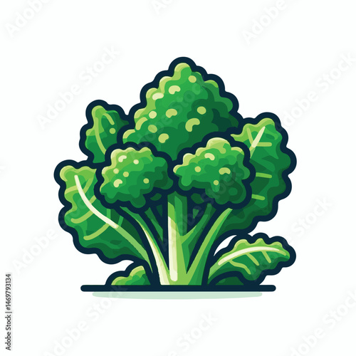 kale, healthy, food, green, vegetable, organic, fresh, leaf, vegan, agriculture, plant, background, vegetarian, diet, natural, nutrition, raw, vitamin, isolated, garden, ingredient, salad, cabbage, he