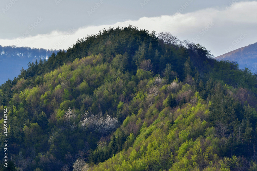 Obraz premium view of the mountains