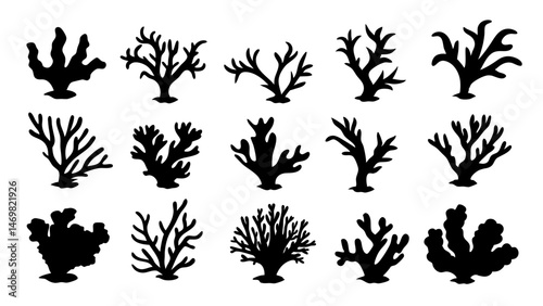 Seaweed silhouettes, coral black icon. Abstract organic shape, underwater plant, matisse element, cute sea doodle.