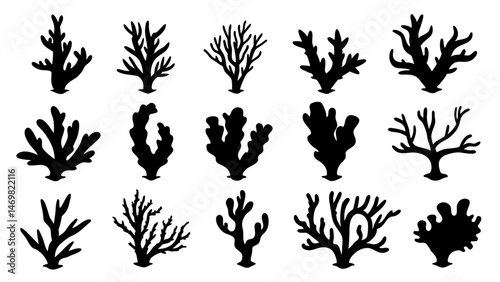 Seaweed silhouettes, coral black icon. Abstract organic shape, underwater plant, matisse element, cute sea doodle.