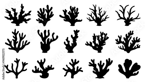 Seaweed silhouettes, coral black icon. Abstract organic shape, underwater plant, matisse element, cute sea doodle.