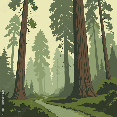 forest in the forest