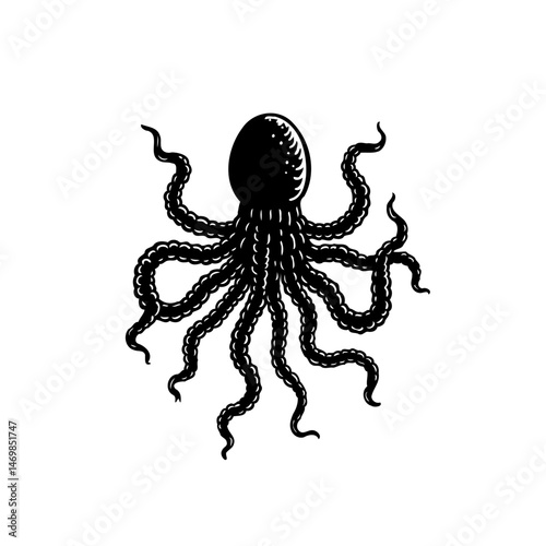 Monochromatic cephalopod depiction featuring an octopus with intricate tentacle details photo