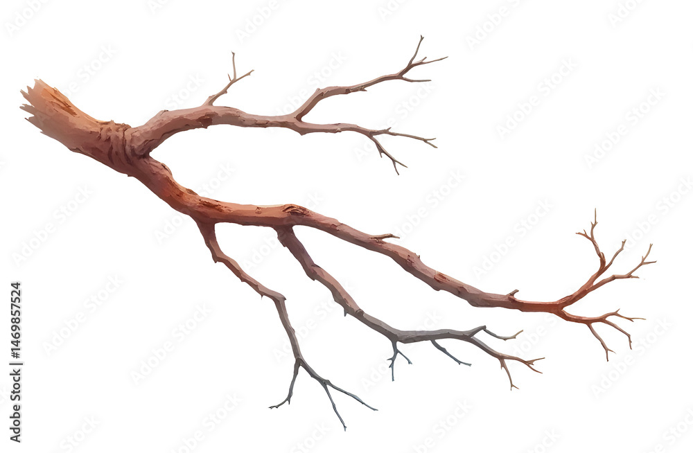 Fototapeta premium Detailed illustration of bare branch with intricate twigs and textures.,cut out