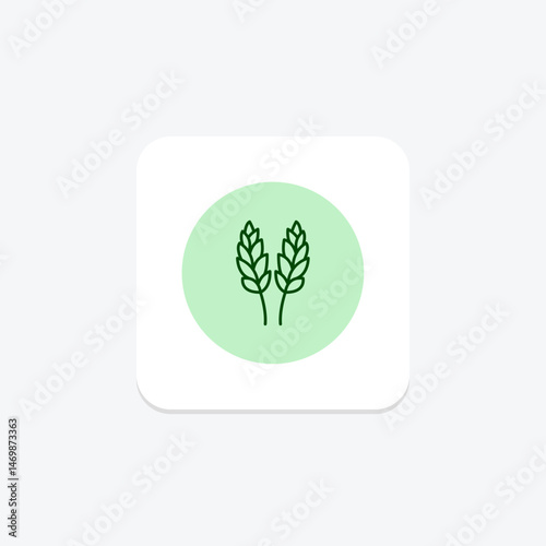 Paddy In Bloom, vector, pixel perfect, illustrator file