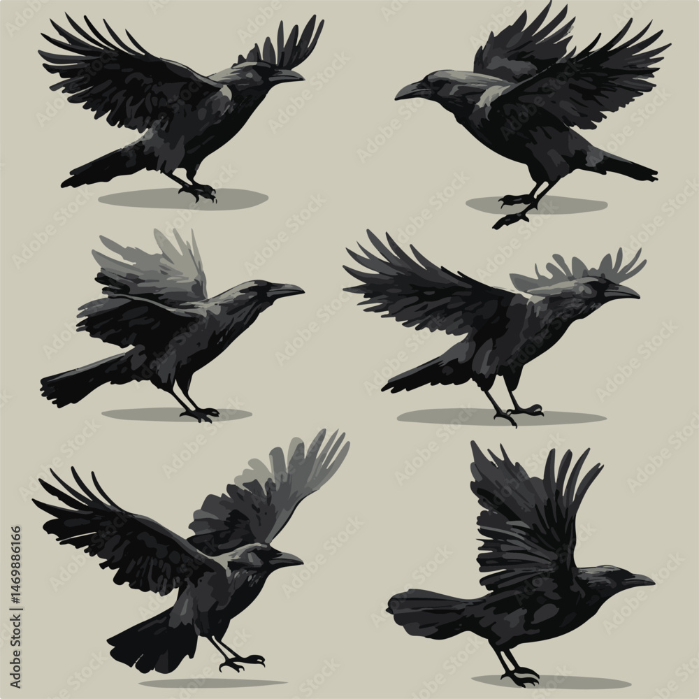 Obraz premium Set Of Graphic Vector Illustrations Of Black Crows In Flight And Perched For Design Elements