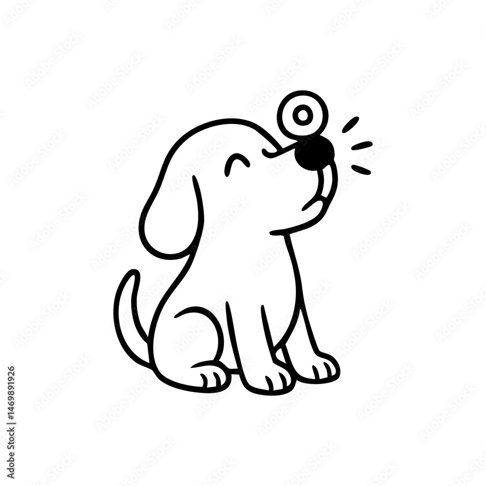 Obraz premium A focused but excited dog sitting still with a treat balanced on its nose, eyes wide, tail curled in anticipation