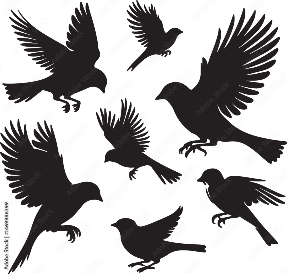 Obraz premium silhouette birds