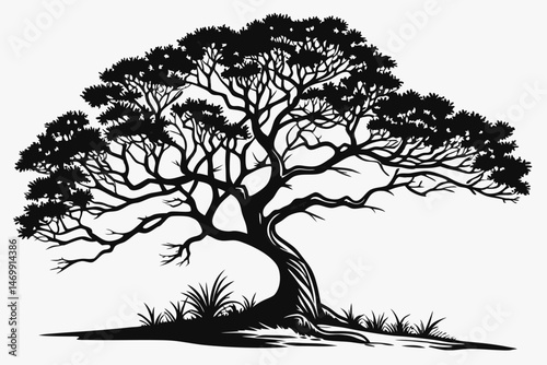banyan tree sihouette black vector