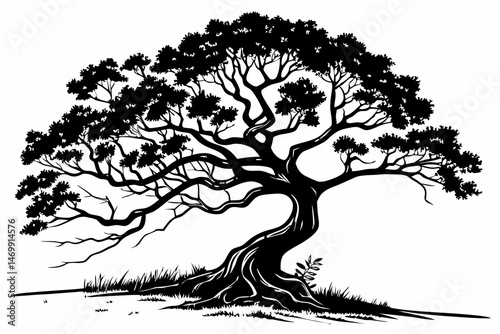 banyan tree sihouette black vector