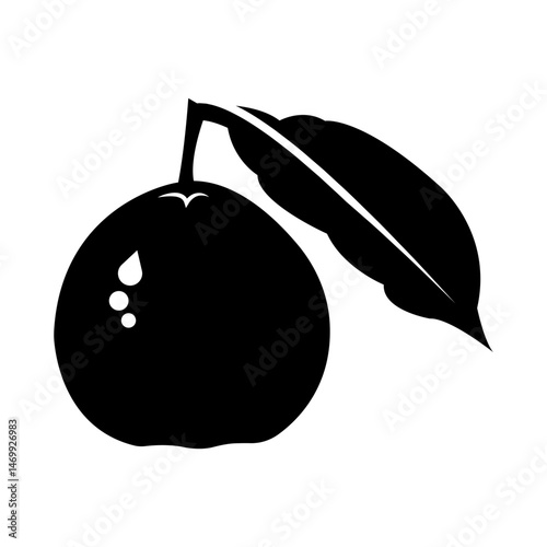guava black background illustration