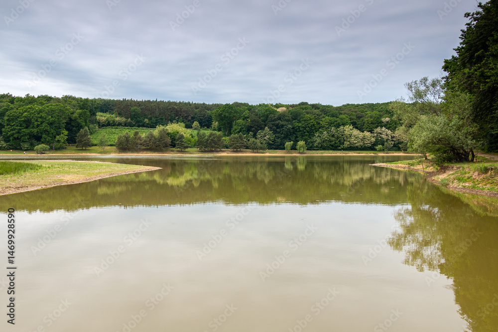 Fototapeta premium forest reflection on calm lake