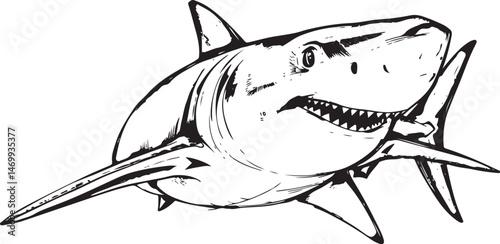 shark cartoon isolated on transparent vector file