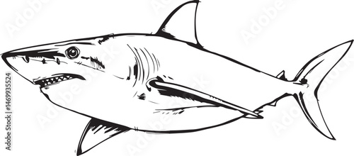 shark cartoon isolated on transparent 