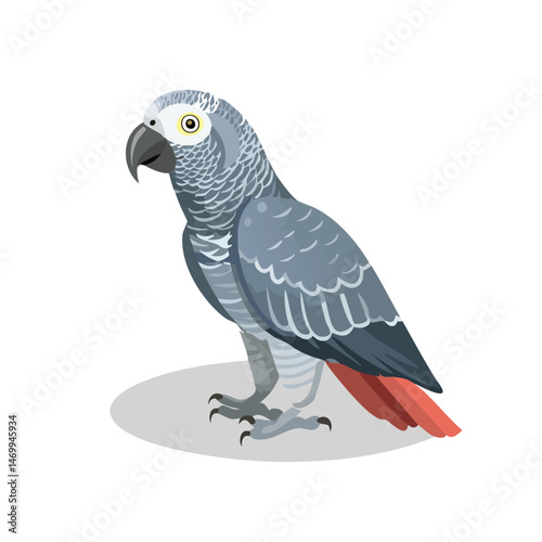African Grey Parrot Vector Illustration with Flat Design, Clean Line Art, and Modern Minimalist AestheticArt.