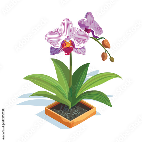 Orchid Vector Illustration with Flat Design, Clean Line Art, and Modern Minimalist AestheticArt.