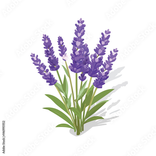 Lavender Vector Illustration with Flat Design, Clean Line Art, and Modern Minimalist AestheticArt.