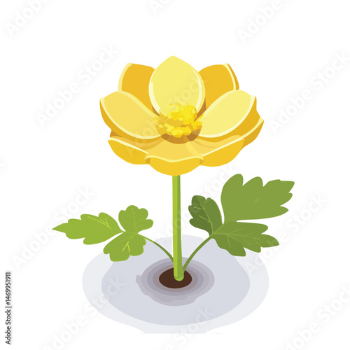 Buttercup Vector Illustration with Flat Design, Clean Line Art, and Modern Minimalist AestheticArt.