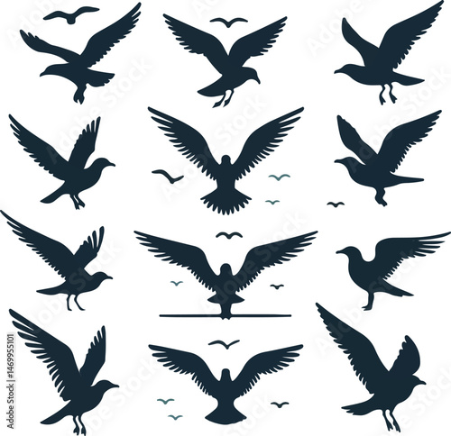 Set of seagull silhouette vectors