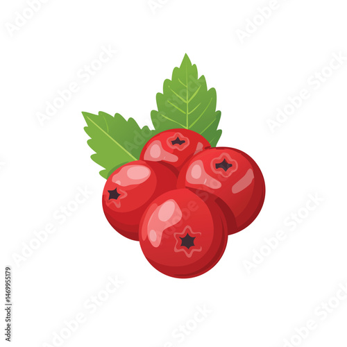 Hawthorn Berry Vector Illustration with Flat Design, Clean Line Art, and Modern Minimalist AestheticArt.