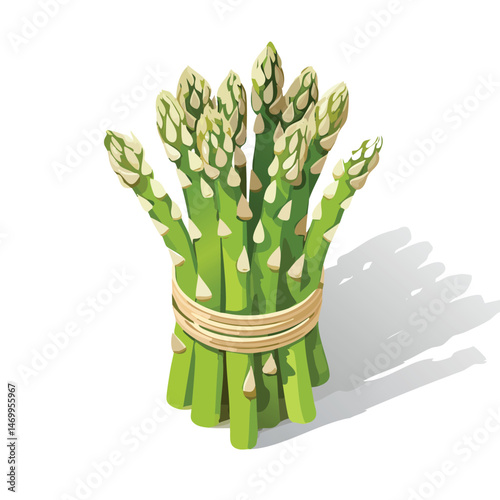 Asparagus Vector Illustration with Flat Design, Clean Line Art, and Modern Minimalist AestheticArt.