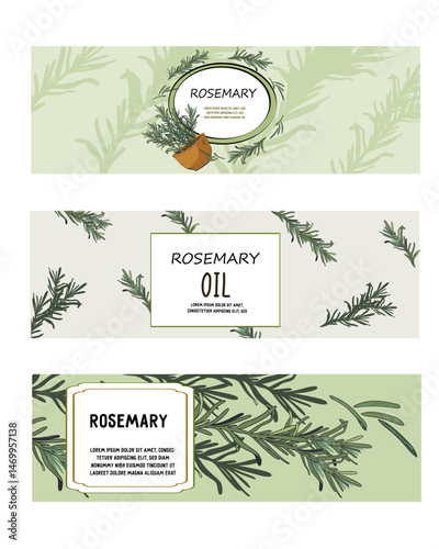 Set of three label designs with rosemary herbs. Aromatherapy and traditional medicine, cooking spices and beauty products labels templates, hand drawn vector illustration with isolated elements.