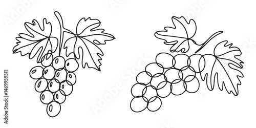 set of black Line Art Grape Bunches with Leaves, Single Line Drawing of Grapes with Leaf, Grapes in continuous line art drawing style, 