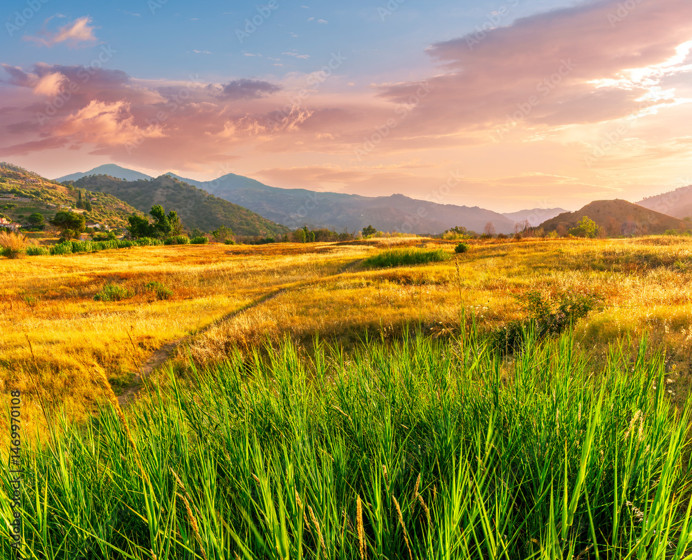 Obraz premium summer of spring landscape of green grass meadow with great beautiful mountains and awersome golden cloudy sunset.