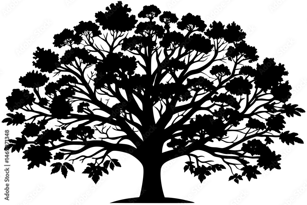 Obraz premium Majestic Black Silhouette of a Large Deciduous Tree