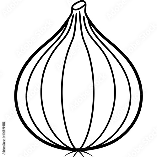 Shallot line art vector