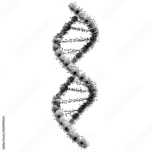 Detailed black and white DNA double helix structure illustration made of dots and thin lines on white background for genetics and molecular biology concept vector image
